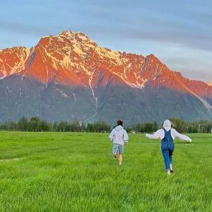 失望赞够也该走了