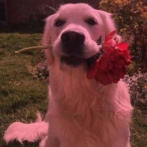 一個人是沒有辦法戀愛的吧