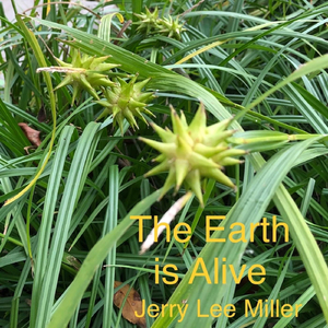 The Earth Is a House (feat. Streetbeets)