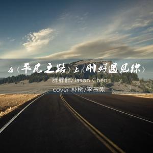 平凡之路 / 刚好遇见你（Cover 朴树 / 李玉刚）