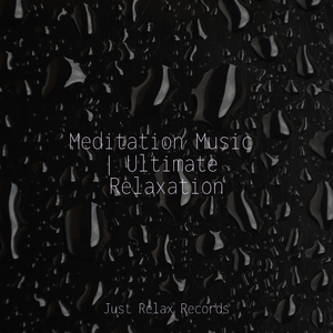 Whispers of the Hidden Grove