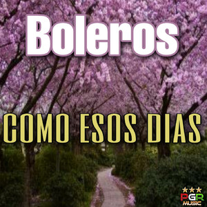 Como Esos Dias