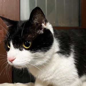 今日日记 Prod By E.PINE