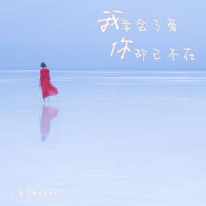 我学会了爱你却已不在