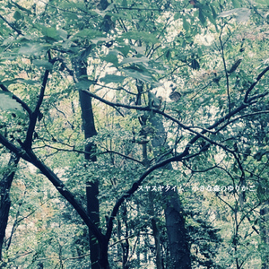 スヤスヤタイム 小さな森のゆりかご