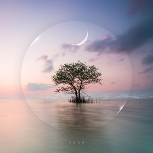 그렇게 잊어볼게