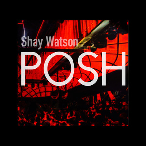 Never Shined so Bright (Remix)