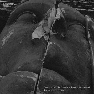 No Need (Lukea Remix)