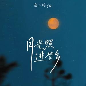 月光照进梦乡