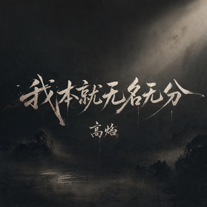 我本就无名无分