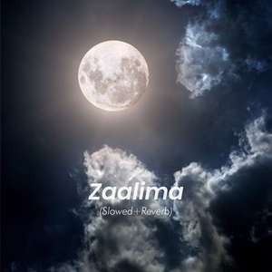 Zaalima (Slowed and Reverb)