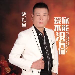 爱你不能没有你 (伴奏)