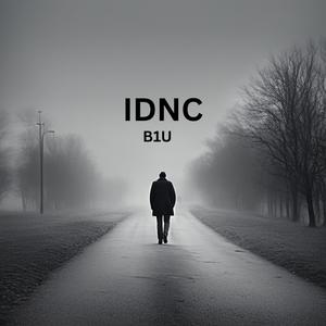 IDNC