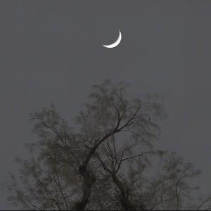 要一起（翻自 周深）