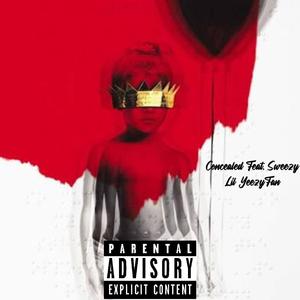 Concealed (feat. Sweezy) (feat. Sweezy) (Radio Edit)