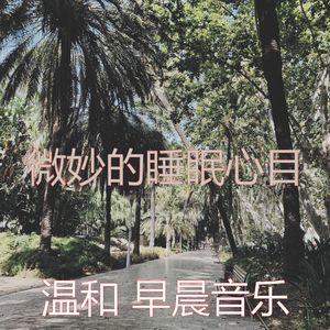 精彩正在学习环境