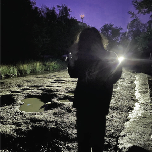 это не мои, экси