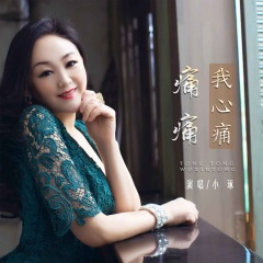 痛痛我心痛 (DJ默涵版)