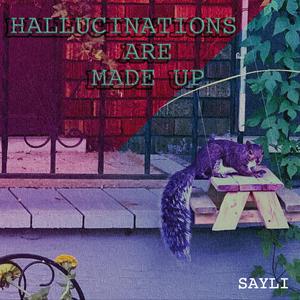 Hallucinations Are Made Up