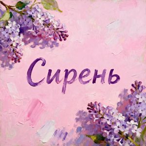 Сирень