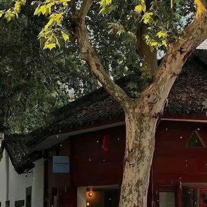 云烟晚霞 伴奏