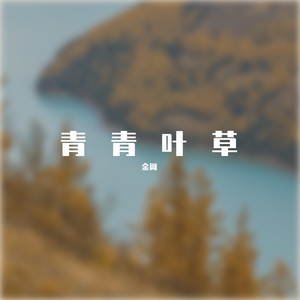 爱的代价（吉他弹唱烟嗓）