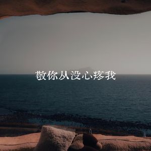 敬你从没心疼我
