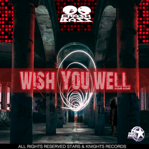 Wish you well (original mix)