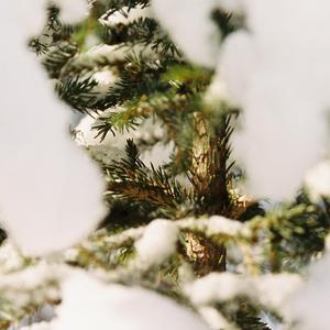 through this changing light