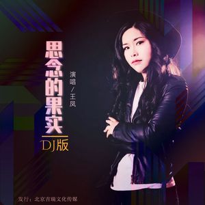 思念的果实(DJ版)