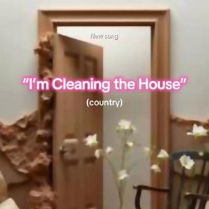 I'm Cleaning the House (country)