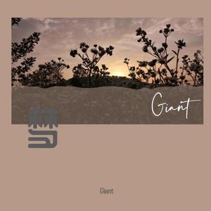 Chronomancer-西域那个梦诶（Giant remix）