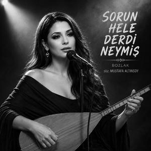 Sorun Hele Derdi Neymiş - Bozlak
