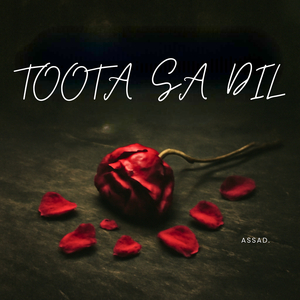 Toota Sa Dil