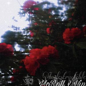 【南以颜喻】夜幕（翻自 骆栖淮）（翻自 CANT太子）