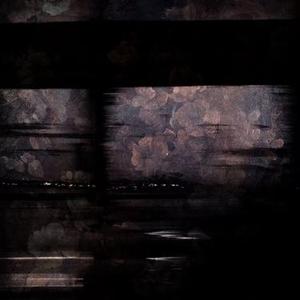 来不及说的再见