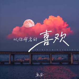 以你命名的喜欢
