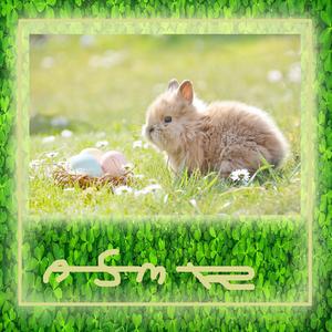 집토끼의 크으릉 거리는 소리