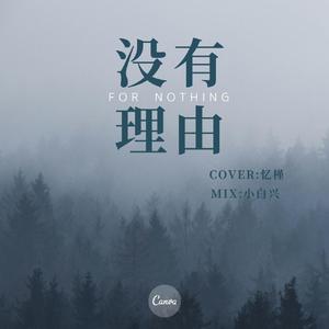 没有理由