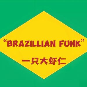 巴西放克？BRAZILLIAN FUNK?