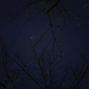 【FREE】夜dark trap beat bpm130