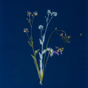 It was only half as far