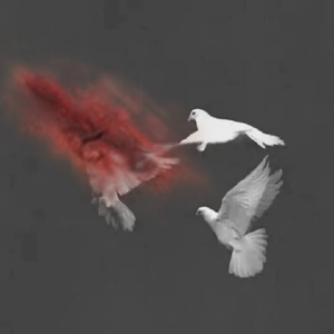 【FREE】‘声名鹊起’