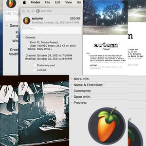 autumn (feat. MINDSEEKE®S)