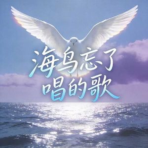 海鸟忘了唱的歌