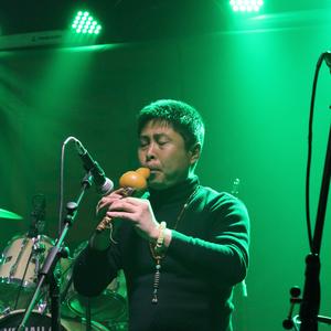 月光下的凤尾竹