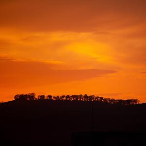 Golden Rays