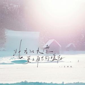 北方的大雪爱上南方的暖阳（DJ豪大大版）