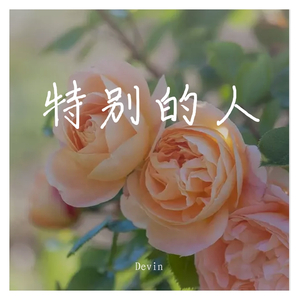 特别的人