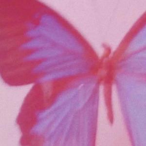 Fatal Love （降调版）